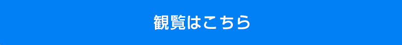 観覧はこちら